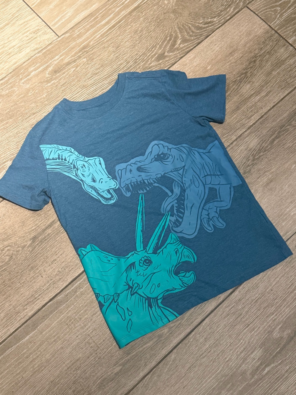 Cat & Jack Teal and Dark Blue Dinosaur Tee
